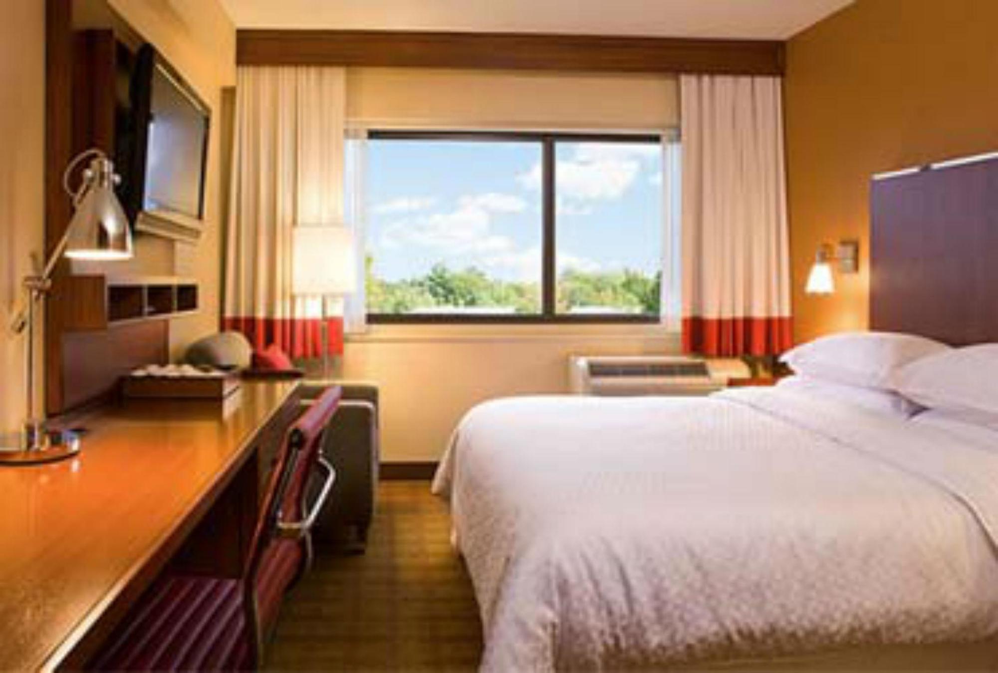 Four Points By Sheraton Punta Cana Rom bilde